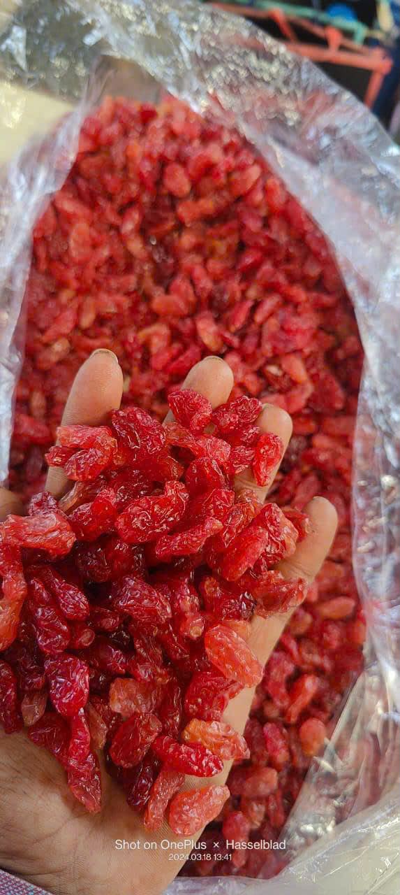 Red raisins sample in hand